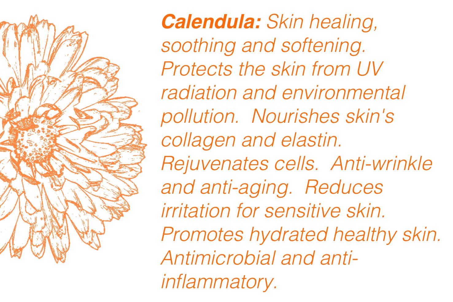What are the benefits of Calendula flowers?